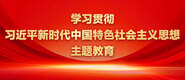 女人骚逼被狗几把操的视频学习贯彻习近平新时代中国特色社会主义思想主题教育_fororder_ad-371X160(2)